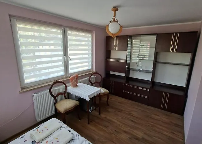 U Garncarza Pensionat